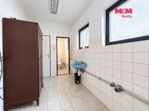 Pronájem výrobních prostor, Neratovice, Mánesova, 235 m2