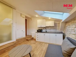Pronájem bytu 1+1, Mariánské Lázně, Třebízského, 29 m2