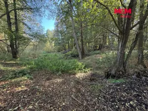 Prodej rybníku, Jablonné v Podještědí - Kněžice, 24434 m2