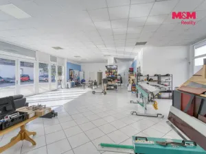 Prodej obchodního prostoru, Toužim, Plzeňská, 561 m2