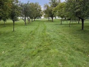Prodej chaty, Líšná, 40 m2