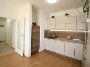 Pronájem bytu 1+kk, Plzeň - Jižní Předměstí, Inženýrská, 50 m2