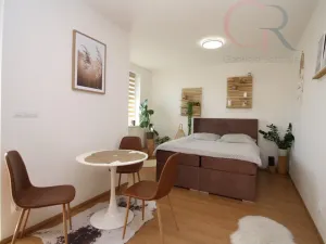 Pronájem bytu 1+kk, Plzeň - Jižní Předměstí, Inženýrská, 50 m2