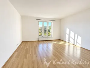 Pronájem bytu 1+1, Praha, Nad Primaskou, 50 m2