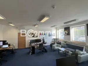 Pronájem skladu, Šlapanice, 4600 m2