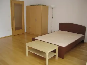 Pronájem bytu 1+kk, Praha - Strašnice, Na palouku, 45 m2