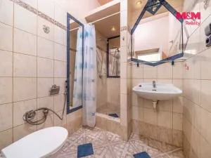 Prodej bytu 3+kk, Praha - Vokovice, V Nových Vokovicích, 52 m2