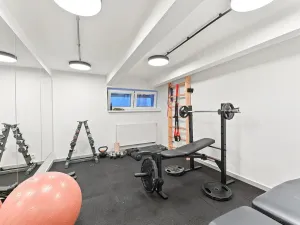 Pronájem bytu 1+kk, Praha - Břevnov, Pod Drinopolem, 41 m2