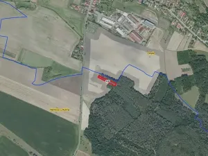Prodej lesa, Němčice, 1392 m2