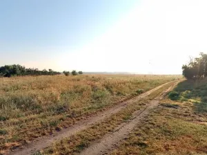 Prodej pole, Mělník, 11396 m2