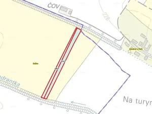 Prodej louky, Dašice, 5720 m2