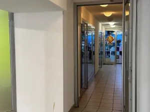 Pronájem obchodního prostoru, Brno, Masarykova, 30 m2