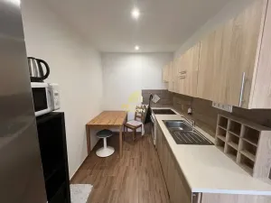 Prodej bytu 2+kk, Litvínov, Podkrušnohorská, 38 m2