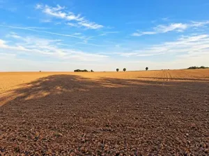 Prodej pozemku pro bydlení, Úsov, 2000 m2