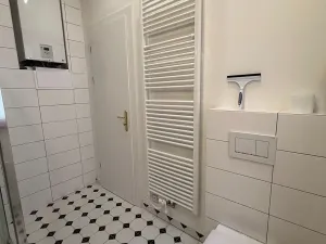 Pronájem bytu 2+kk, Praha - Žižkov, Baranova, 58 m2