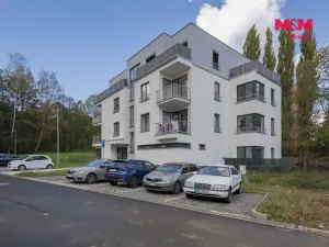 Pronájem bytu 1+kk, Cheb, K Pomezí, 41 m2