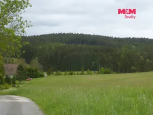 Prodej louky, Vysoká Srbská, 26090 m2