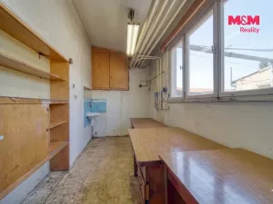 Pronájem výrobních prostor, Nepomuk - Dvorec, 378 m2