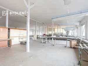 Prodej komerční nemovitosti, Duchcov, Sadová, 11341 m2