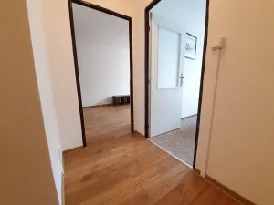 Pronájem bytu 2+kk, Praha, Přemyslovská, 46 m2
