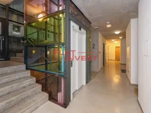 Prodej bytu 2+kk, Praha - Břevnov, Ve Střešovičkách, 57 m2