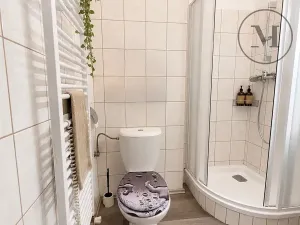 Prodej bytu 1+kk, Benešov nad Černou, 17 m2