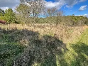 Prodej lesa, Březolupy, 628 m2
