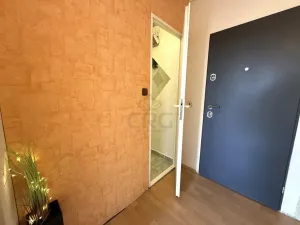Prodej bytu 1+kk, Brno - Bohunice, Okrouhlá, 33 m2