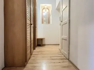 Pronájem bytu 1+1, Brno, Kartouzská, 46 m2