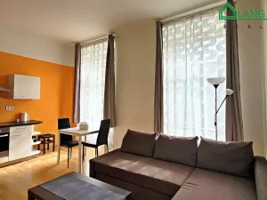 Pronájem bytu 1+kk, Brno, Koliště, 31 m2