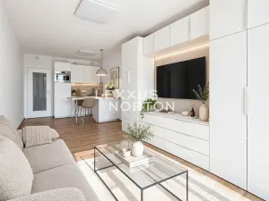 Prodej bytu 1+kk, Praha - Smíchov, Holečkova, 30 m2
