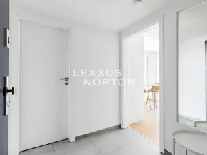 Prodej bytu 1+kk, Praha - Smíchov, Holečkova, 30 m2