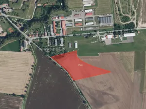 Prodej louky, Nový Ples, 14345 m2