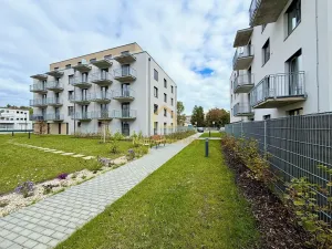 Pronájem bytu 2+kk, Ostrava, Provaznická, 50 m2