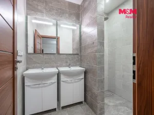 Prodej rodinného domu, Neustupov, 450 m2