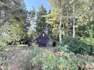 Prodej chaty, Borová, 53 m2
