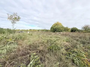 Prodej pozemku, Mikulov, Slovácké brigády, 721 m2