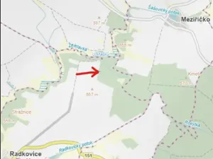 Prodej lesa, Radkovice u Budče, 204 m2