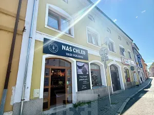 Prodej obchodního prostoru, Štětí, Krátká, 64 m2