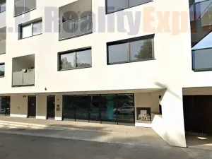 Prodej obchodního prostoru, Praha, Spojovací, 173 m2