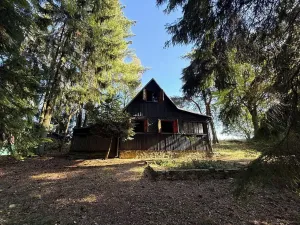 Prodej chaty, Borová, 53 m2