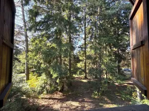 Prodej chaty, Borová, 53 m2