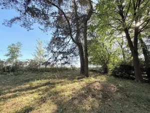 Prodej chaty, Borová, 53 m2
