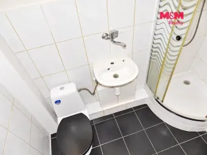Pronájem bytu 2+1, Teplice, U nádraží, 50 m2