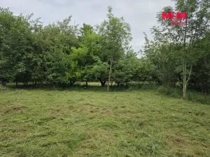 Prodej pozemku pro bydlení, Bor - Boječnice, 1093 m2