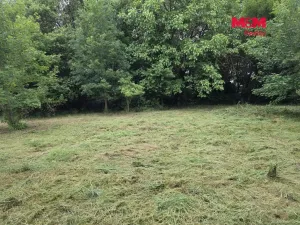Prodej pozemku pro bydlení, Bor - Boječnice, 1093 m2