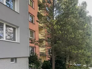 Prodej bytu 1+1, Frýdek-Místek, Bruzovská, 37 m2