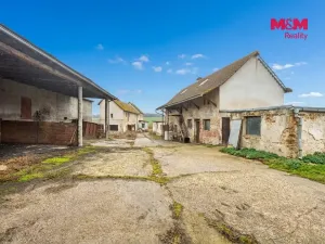Prodej zemědělské usedlosti, Strupčice - Sušany, 150 m2