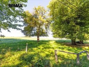 Prodej chalupy, Teplice nad Metují, 280 m2