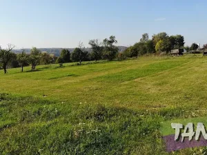Prodej pozemku pro bydlení, Vyskeř, 1004 m2
